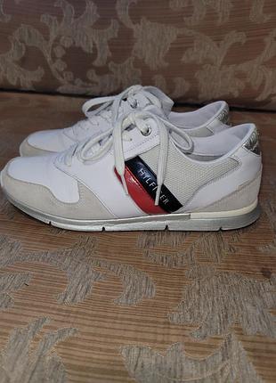 Кросівки tommy hilfiger