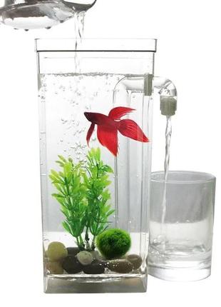 Маленький самоочисний акваріум з led підсвічуванням my fun fish2 фото