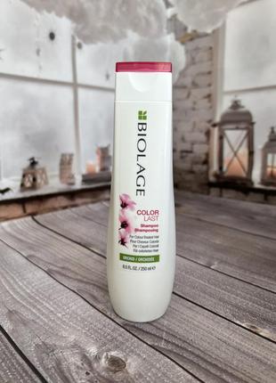 Шампунь для фарбованого волосся biolage colorlast shampoo1 фото