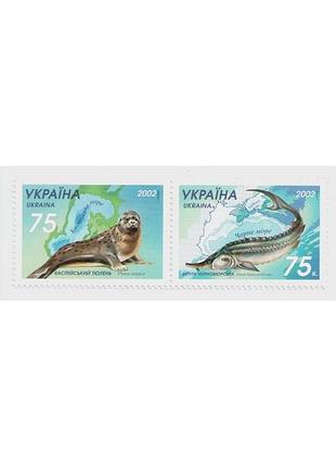 Марки каспійський каспийский тюлень и белуга білуга чорноморська україна казахстан фауна