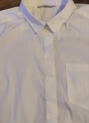 Рубашка рубашка белая классическая женская, h&amp;m, размер s8 фото