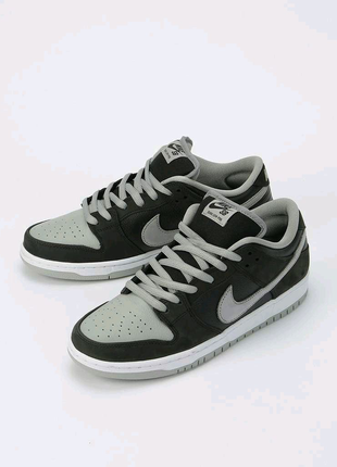 Nike dunk low pro