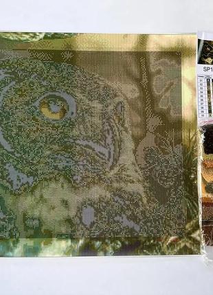 Алмазна мозаїка сова 40х50 см colorart sp1103 фото
