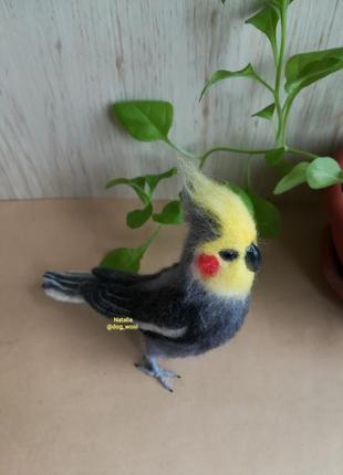 Корелла сірий, інтер'єрна валяне іграшка птах, папуга з вовни3 фото