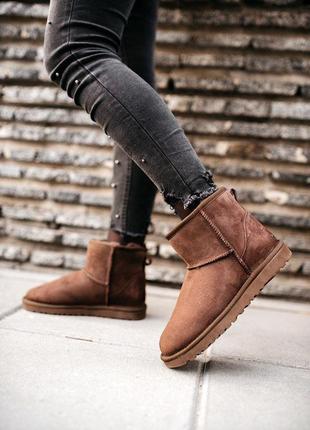 Угги ugg classic mini “chocolate” уги