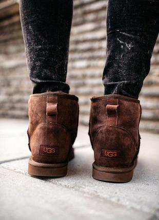 Угі ugg classic mini "chocolate" угг 5