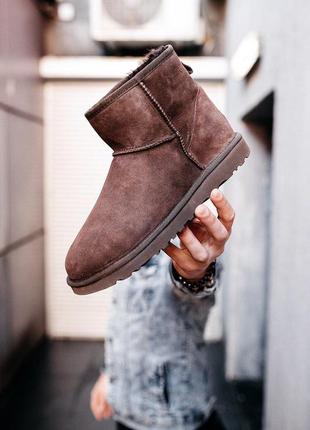 Уги ugg classic mini “chocolate” угг9 фото