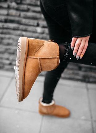 Угги ugg w classic mini chestnut уги