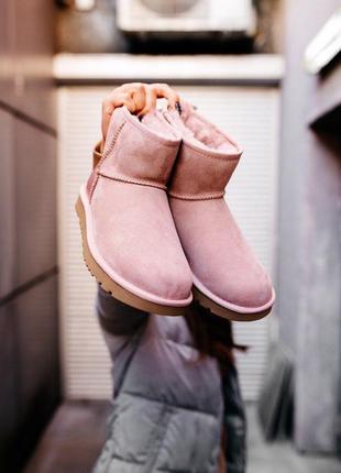 Уги ugg w classic mini «pink» угги6 фото