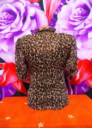 Леопардово-чорний комплект. блуза і майка.4 фото