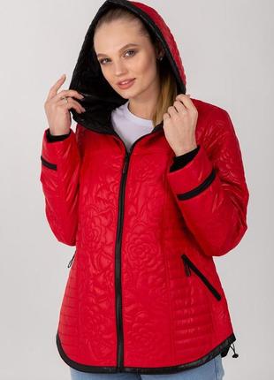 Молодежная женская укороченная куртка красного цвета на весну, батальные размеры2 фото