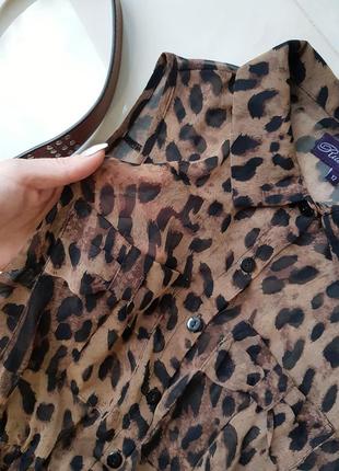 Трендове плаття з леопардовим принтом5 фото