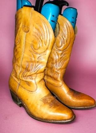 Чоботи western cowboy club 43