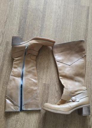 Сапоги женские, next.