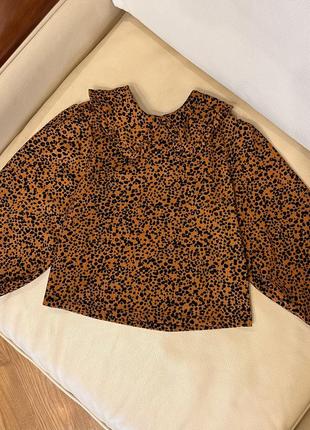 Шикарна блуза, кофта некст з комірцем 5 років ріст 110 як нова