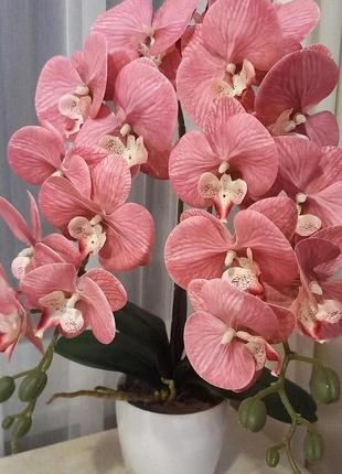 Латексні орхідеї для декору1 фото