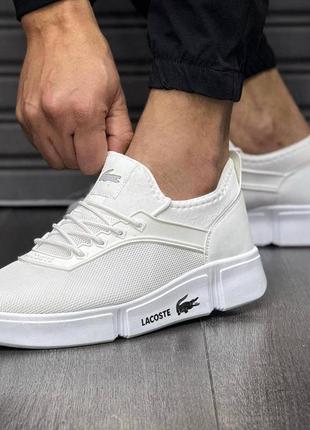 Кеды мужские, lacoste white3 фото