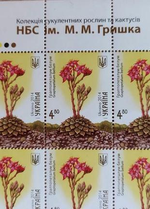 Поштова марка аркуш серії коллекція сукулентних граптопеталум бел2 фото