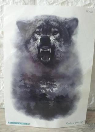 Временное тату волк царь леса lc-651