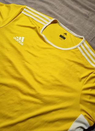 Футболка adidas climalite желтая на лето xl2 фото