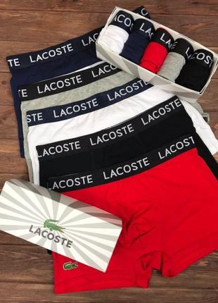 Набір нижньої білизни труси чоловічі lacoste dark1 фото