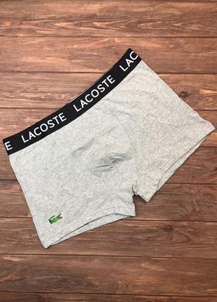 Набір нижньої білизни труси чоловічі lacoste dark5 фото