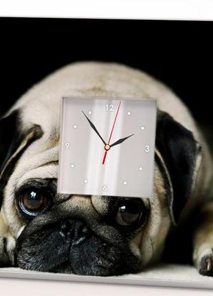 Дизайнерские настенные часы "собака мопс" (c03693)1 фото