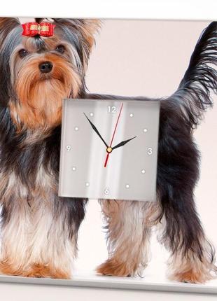 Часы на стену "йоркширский терьер" (c03732)