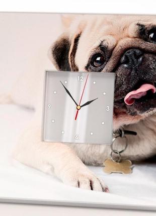 Годинник на стіну з фото собаки "мопс" (c03733)