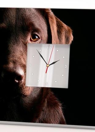 Стильний годинник з собакою "лабрадор" (c03736)1 фото