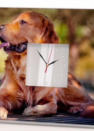 Часы в детскую с собакой "золотой ретривер" (c03738)