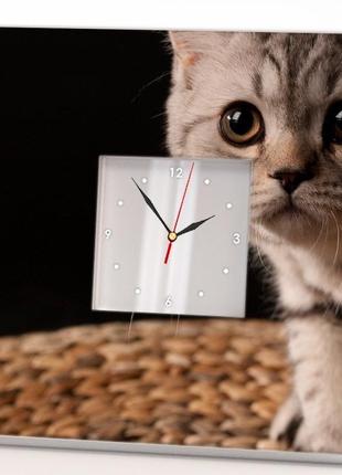 Интерьерные часы  "любопытный котенок" (c03839)1 фото