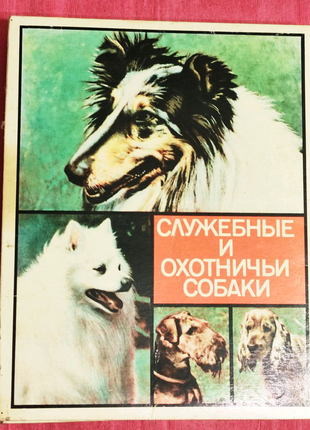 Сірники - "службові, мисливські собаки". набір сувенірний1 фото