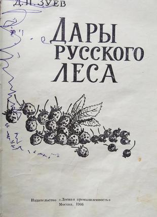 Д. зуєв - дари російського лісу, 1966