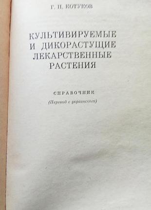 Р. котуков - культивовані і дикорослі лікарські рослини