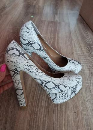 Туфлі пітон river island