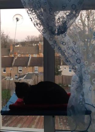 Лежак на вікно, гамак для кота кішки