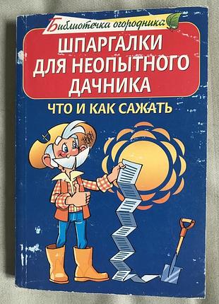 Шпаргалки для недосвідченого дачника. що і як садити?