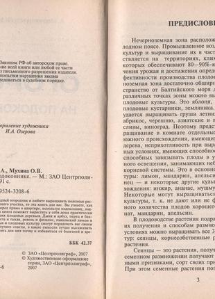 Город на підвіконні 3