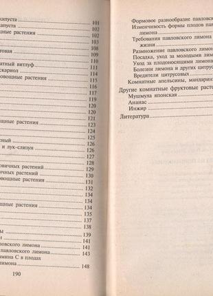 Город на підвіконні 7