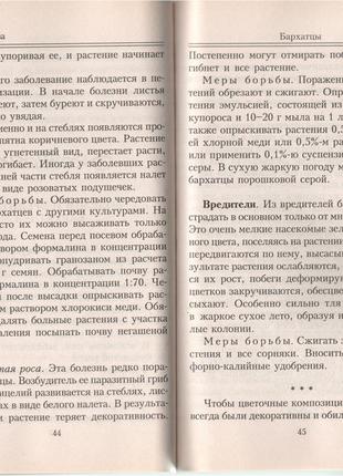 Книга чорнобривці. сорти, вирощування і догляд