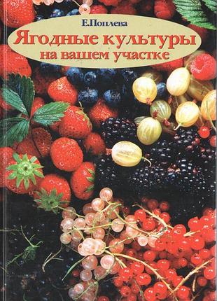 Книга ягідні культури на вашій ділянці