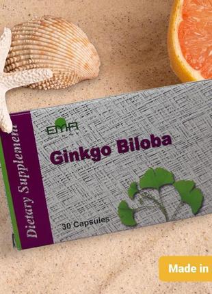 Ginkgo biloba гінкго білоба 260мл для пам'яти єгипет