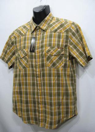 Мужская рубашка с коротким рукавом paul frank р.48 (052rk) (только в указанном размере, только 1 шт)3 фото
