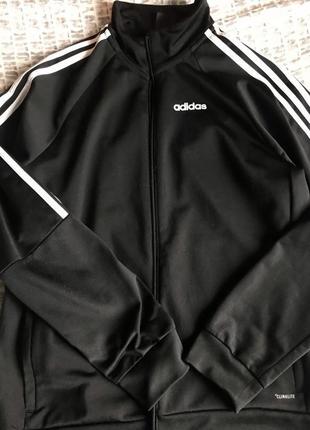 Олімпійка adidas дуже хороше состояние2 фото