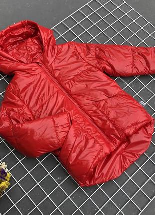 Куртка з лаку монклер червоного демі до 0 градусів2 фото