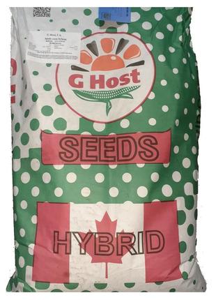 Семена кукурузы g host gs 110 n29 (джи хост) фао 290