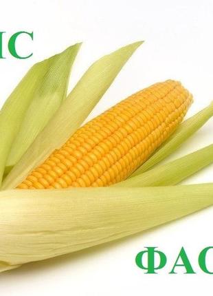 Ирис фао 320 (франция) семена кукурузы