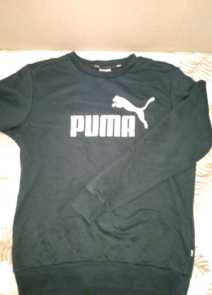 Puma