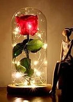 Троянда в колбі з led-підсвіткою,чник, 17 см, найкращий подарунок1 фото